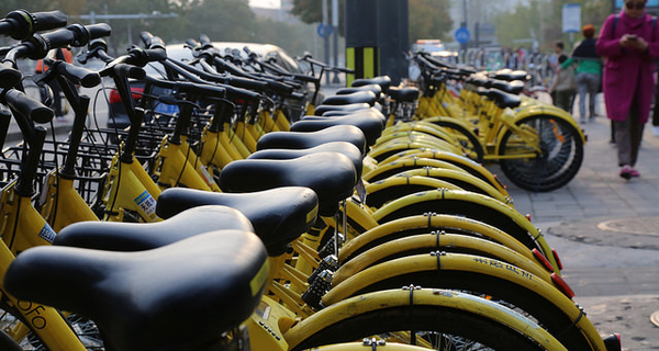 As bike rentals cool, ofo chooses to stand alone